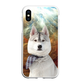 Чехол для iPhone XS Max матовый с принтом Хаски в Тюмени, Силикон | Область печати: задняя сторона чехла, без боковых панелей | маламут | песик | собака | собаки | собачка | хаски