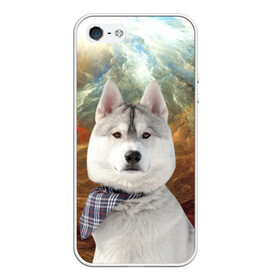 Чехол для iPhone 5/5S матовый с принтом Хаски в Тюмени, Силикон | Область печати: задняя сторона чехла, без боковых панелей | маламут | песик | собака | собаки | собачка | хаски