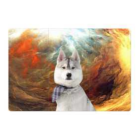Магнитный плакат 3Х2 с принтом Хаски в Тюмени, Полимерный материал с магнитным слоем | 6 деталей размером 9*9 см | маламут | песик | собака | собаки | собачка | хаски