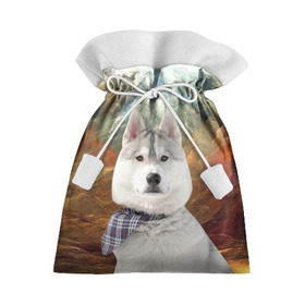 Подарочный 3D мешок с принтом Хаски в Тюмени, 100% полиэстер | Размер: 29*39 см | Тематика изображения на принте: маламут | песик | собака | собаки | собачка | хаски