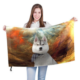 Флаг 3D с принтом Хаски в Тюмени, 100% полиэстер | плотность ткани — 95 г/м2, размер — 67 х 109 см. Принт наносится с одной стороны | маламут | песик | собака | собаки | собачка | хаски