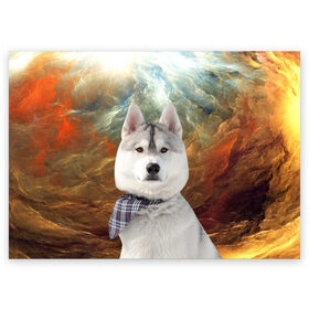 Поздравительная открытка с принтом Хаски в Тюмени, 100% бумага | плотность бумаги 280 г/м2, матовая, на обратной стороне линовка и место для марки
 | Тематика изображения на принте: маламут | песик | собака | собаки | собачка | хаски