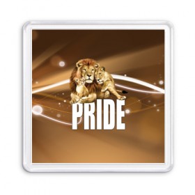 Магнит 55*55 с принтом Pride в Тюмени, Пластик | Размер: 65*65 мм; Размер печати: 55*55 мм | lion | голова животного | кот | кошка | лев | хищник | царь | цвет