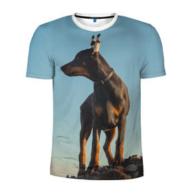 Мужская футболка 3D спортивная с принтом Доберман в Тюмени, 100% полиэстер с улучшенными характеристиками | приталенный силуэт, круглая горловина, широкие плечи, сужается к линии бедра | доберман | доберманы | пес | песик | псы | собака | собаки