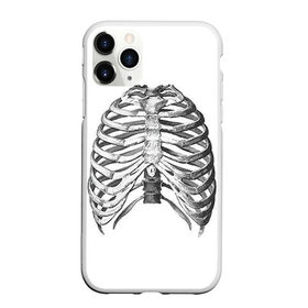 Чехол для iPhone 11 Pro матовый с принтом Ребра в Тюмени, Силикон |  | bones | halloween | skull | скелет | скелеты | хеллоиун | хэллоуин | хэлоуин | череп | черепа