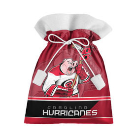 Подарочный 3D мешок с принтом Carolina Hurricanes в Тюмени, 100% полиэстер | Размер: 29*39 см | carolina hurricanes | nhl | stanley cup | каролина | каролина харрикейнз | кубок стенли | кубок стэнли | нхл | хоккей | хоккейный клуб | хурикэйнс