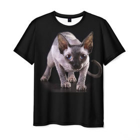 Мужская футболка 3D с принтом Сфинкс в Тюмени, 100% полиэфир | прямой крой, круглый вырез горловины, длина до линии бедер | Тематика изображения на принте: взгляд | глаза | голова животного | киска | кот | котёнок | кошка | прикольные картинки