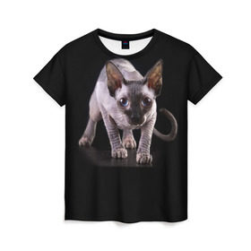 Женская футболка 3D с принтом Сфинкс в Тюмени, 100% полиэфир ( синтетическое хлопкоподобное полотно) | прямой крой, круглый вырез горловины, длина до линии бедер | взгляд | глаза | голова животного | киска | кот | котёнок | кошка | прикольные картинки