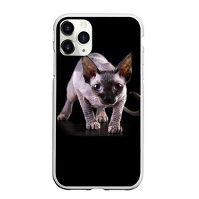 Чехол для iPhone 11 Pro матовый с принтом Сфинкс в Тюмени, Силикон |  | взгляд | глаза | голова животного | киска | кот | котёнок | кошка | прикольные картинки