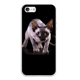Чехол для iPhone 5/5S матовый с принтом Сфинкс в Тюмени, Силикон | Область печати: задняя сторона чехла, без боковых панелей | Тематика изображения на принте: взгляд | глаза | голова животного | киска | кот | котёнок | кошка | прикольные картинки