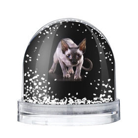 Снежный шар с принтом Сфинкс в Тюмени, Пластик | Изображение внутри шара печатается на глянцевой фотобумаге с двух сторон | взгляд | глаза | голова животного | киска | кот | котёнок | кошка | прикольные картинки