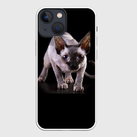 Чехол для iPhone 13 mini с принтом Сфинкс в Тюмени,  |  | Тематика изображения на принте: взгляд | глаза | голова животного | киска | кот | котёнок | кошка | прикольные картинки