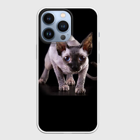 Чехол для iPhone 13 Pro с принтом Сфинкс в Тюмени,  |  | Тематика изображения на принте: взгляд | глаза | голова животного | киска | кот | котёнок | кошка | прикольные картинки