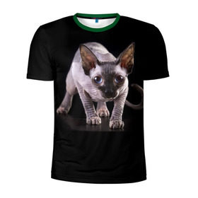 Мужская футболка 3D спортивная с принтом Сфинкс в Тюмени, 100% полиэстер с улучшенными характеристиками | приталенный силуэт, круглая горловина, широкие плечи, сужается к линии бедра | взгляд | глаза | голова животного | киска | кот | котёнок | кошка | прикольные картинки
