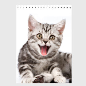 Скетчбук с принтом Милашка в Тюмени, 100% бумага
 | 48 листов, плотность листов — 100 г/м2, плотность картонной обложки — 250 г/м2. Листы скреплены сверху удобной пружинной спиралью | кот | котенок | кошка