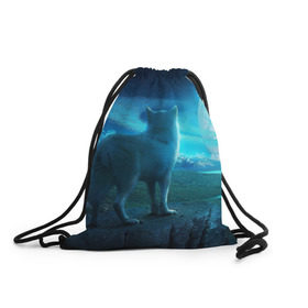 Рюкзак-мешок 3D с принтом Blue Moon в Тюмени, 100% полиэстер | плотность ткани — 200 г/м2, размер — 35 х 45 см; лямки — толстые шнурки, застежка на шнуровке, без карманов и подкладки | пейзаж | фантастический