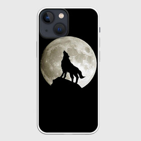 Чехол для iPhone 13 mini с принтом Moon в Тюмени,  |  | зверь | луна