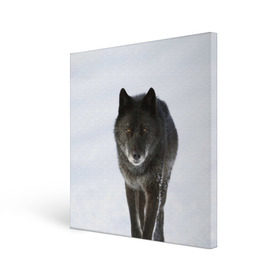 Холст квадратный с принтом Черный волк в Тюмени, 100% ПВХ |  | Тематика изображения на принте: дикий | зима