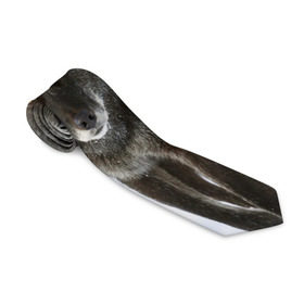 Галстук 3D с принтом Черный волк в Тюмени, 100% полиэстер | Длина 148 см; Плотность 150-180 г/м2 | Тематика изображения на принте: дикий | зима