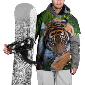 Накидка на куртку 3D с принтом Скромный тигр в Тюмени, 100% полиэстер |  | Тематика изображения на принте: дикие | лев | милые | новинки | орел | популярные | прикольные | природа | птицы | тигр | яркие