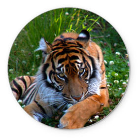 Коврик круглый с принтом Скромный тигр в Тюмени, резина и полиэстер | круглая форма, изображение наносится на всю лицевую часть | Тематика изображения на принте: дикие | лев | милые | новинки | орел | популярные | прикольные | природа | птицы | тигр | яркие