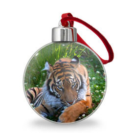 Ёлочный шар с принтом Скромный тигр в Тюмени, Пластик | Диаметр: 77 мм | дикие | лев | милые | новинки | орел | популярные | прикольные | природа | птицы | тигр | яркие