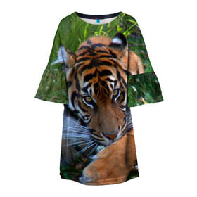 Детское платье 3D с принтом Скромный тигр в Тюмени, 100% полиэстер | прямой силуэт, чуть расширенный к низу. Круглая горловина, на рукавах — воланы | Тематика изображения на принте: дикие | лев | милые | новинки | орел | популярные | прикольные | природа | птицы | тигр | яркие