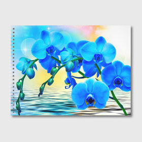 Альбом для рисования с принтом Орхидеи в Тюмени, 100% бумага
 | матовая бумага, плотность 200 мг. | Тематика изображения на принте: орхидея | природа | цветы
