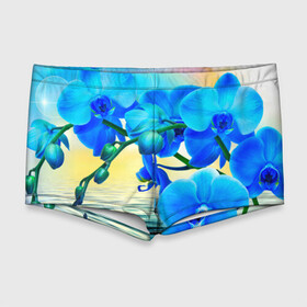 Мужские купальные плавки 3D с принтом Орхидеи в Тюмени, Полиэстер 85%, Спандекс 15% |  | орхидея | природа | цветы