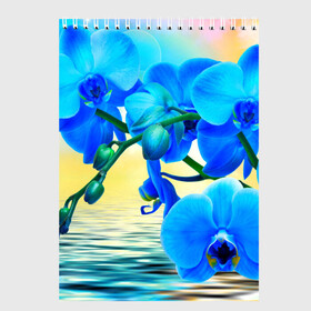 Скетчбук с принтом Орхидеи в Тюмени, 100% бумага
 | 48 листов, плотность листов — 100 г/м2, плотность картонной обложки — 250 г/м2. Листы скреплены сверху удобной пружинной спиралью | Тематика изображения на принте: орхидея | природа | цветы