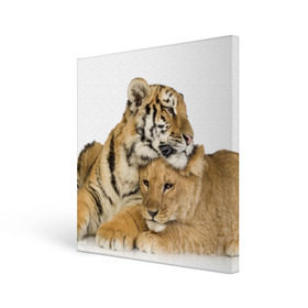 Холст квадратный с принтом Тигр и львица в Тюмени, 100% ПВХ |  | дикие | милые | природа | тигр | яркие