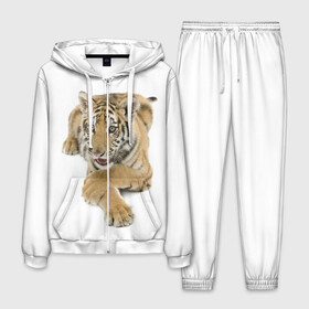 Мужской костюм 3D с принтом Ласковый тигренок в Тюмени, 100% полиэстер | Манжеты и пояс оформлены тканевой резинкой, двухслойный капюшон со шнурком для регулировки, карманы спереди | Тематика изображения на принте: дикие | милые | природа | тигр | яркие