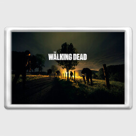 Магнит 45*70 с принтом Walking Dead в Тюмени, Пластик | Размер: 78*52 мм; Размер печати: 70*45 | ходячие мертвецы