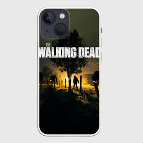 Чехол для iPhone 13 mini с принтом Walking Dead в Тюмени,  |  | ходячие мертвецы