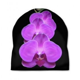 Шапка 3D с принтом Орхидея в Тюмени, 100% полиэстер | универсальный размер, печать по всей поверхности изделия | орхидея | флора | цветок