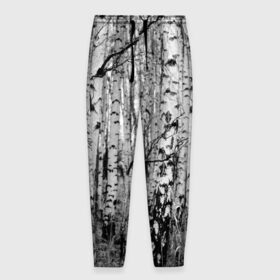 Мужские брюки 3D с принтом Березовая роща в Тюмени, 100% полиэстер | манжеты по низу, эластичный пояс регулируется шнурком, по бокам два кармана без застежек, внутренняя часть кармана из мелкой сетки | birch | birch grove | black   white | forest | photo | trees | березовая | березы | деревья | лес | роща | фото | черно   белое