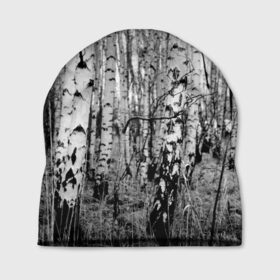 Шапка 3D с принтом Березовая роща в Тюмени, 100% полиэстер | универсальный размер, печать по всей поверхности изделия | birch | birch grove | black   white | forest | photo | trees | березовая | березы | деревья | лес | роща | фото | черно   белое