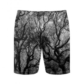 Мужские шорты 3D спортивные с принтом Деревья в Тюмени,  |  | black   white | crown | curly | forest | park | path | photo | thick | trees | деревья | дорожка | дремучий | крона | кудрявая | лес | парк | фото | черно   белое