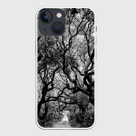 Чехол для iPhone 13 mini с принтом Деревья в Тюмени,  |  | black   white | crown | curly | forest | park | path | photo | thick | trees | деревья | дорожка | дремучий | крона | кудрявая | лес | парк | фото | черно   белое