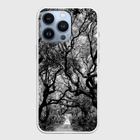 Чехол для iPhone 13 Pro с принтом Деревья в Тюмени,  |  | Тематика изображения на принте: black   white | crown | curly | forest | park | path | photo | thick | trees | деревья | дорожка | дремучий | крона | кудрявая | лес | парк | фото | черно   белое