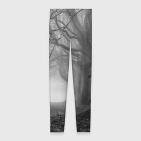 Леггинсы 3D с принтом Туман в лесу в Тюмени, 80% полиэстер, 20% эластан | Эластичный пояс, зауженные к низу, низкая посадка | black   white | fog | forest | morning | photo | silhouette | trees | деревья | лес | силуэт | туман | утро | фото | черно   белое