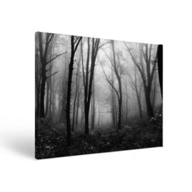 Холст прямоугольный с принтом Туман в лесу в Тюмени, 100% ПВХ |  | black   white | fog | forest | morning | photo | silhouette | trees | деревья | лес | силуэт | туман | утро | фото | черно   белое