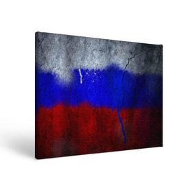 Холст прямоугольный с принтом Триколор (Краской на земле) в Тюмени, 100% ПВХ |  | Тематика изображения на принте: russia | белый | красный | российский флаг | россия | синий | триколор