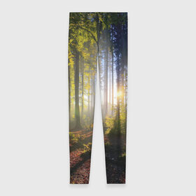 Леггинсы 3D с принтом Утро в лесу в Тюмени, 80% полиэстер, 20% эластан | Эластичный пояс, зауженные к низу, низкая посадка | bright | fog | forest | morning | sun | tree | trees | дерево | деревья | лес | солнце | туман | утро | яркое