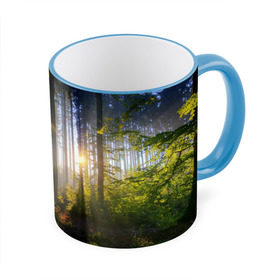 Кружка 3D с принтом Утро в лесу в Тюмени, керамика | ёмкость 330 мл | bright | fog | forest | morning | sun | tree | trees | дерево | деревья | лес | солнце | туман | утро | яркое