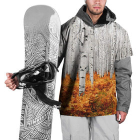 Накидка на куртку 3D с принтом Березовая роща в Тюмени, 100% полиэстер |  | Тематика изображения на принте: birch | birch grove | ferns | forest | trees | березовая | березы | деревья | лес | папоротник | роща