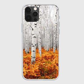 Чехол для iPhone 12 Pro Max с принтом Березовая роща в Тюмени, Силикон |  | birch | birch grove | ferns | forest | trees | березовая | березы | деревья | лес | папоротник | роща