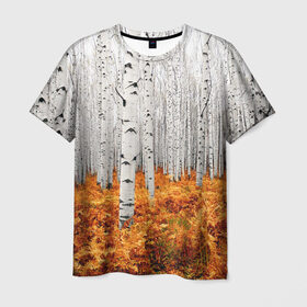 Мужская футболка 3D с принтом Березовая роща в Тюмени, 100% полиэфир | прямой крой, круглый вырез горловины, длина до линии бедер | birch | birch grove | ferns | forest | trees | березовая | березы | деревья | лес | папоротник | роща