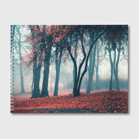 Альбом для рисования с принтом Осень в Тюмени, 100% бумага
 | матовая бумага, плотность 200 мг. | autumn | bright | colors | forest | paint | trees | деревья | краски | лес | осень | цвета | яркие