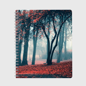 Тетрадь с принтом Осень в Тюмени, 100% бумага | 48 листов, плотность листов — 60 г/м2, плотность картонной обложки — 250 г/м2. Листы скреплены сбоку удобной пружинной спиралью. Уголки страниц и обложки скругленные. Цвет линий — светло-серый
 | autumn | bright | colors | forest | paint | trees | деревья | краски | лес | осень | цвета | яркие